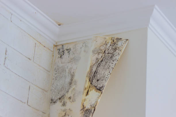 Local water damage restoration